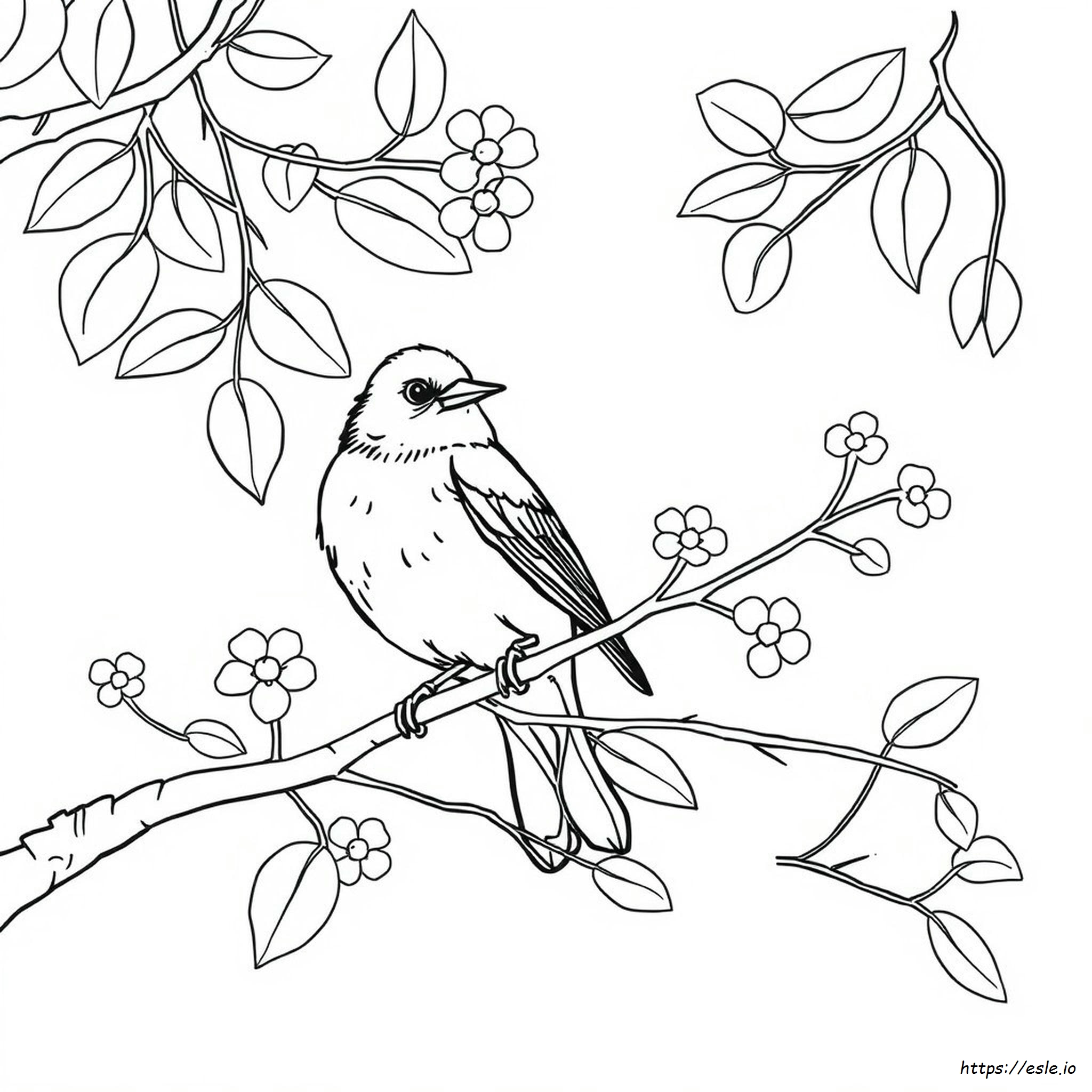Purple Finch Coloring Page