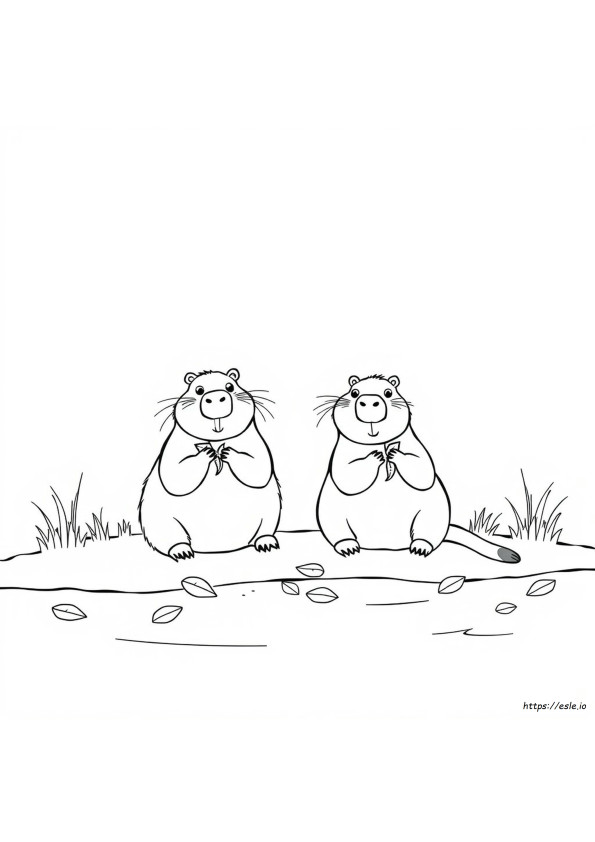Printable Capybara Drawing Cute Capybara Coloring Pages