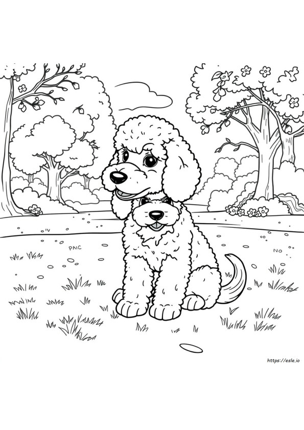 Realistic Poodle Coloring Pages