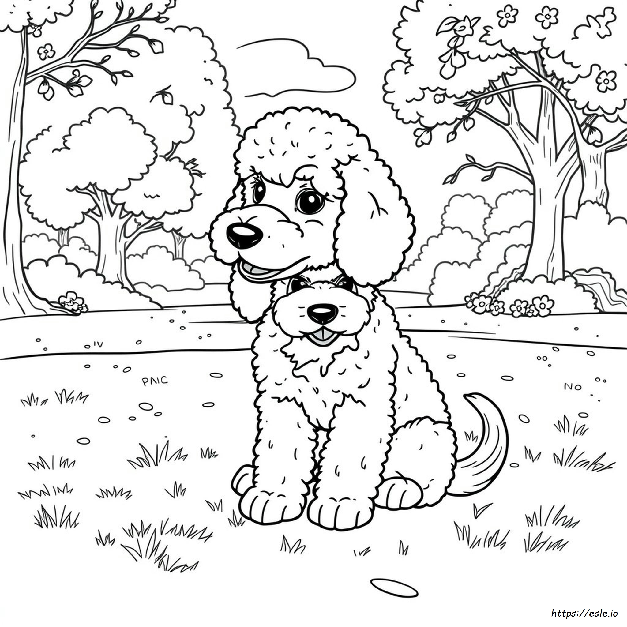 Realistic Poodle Coloring Pages