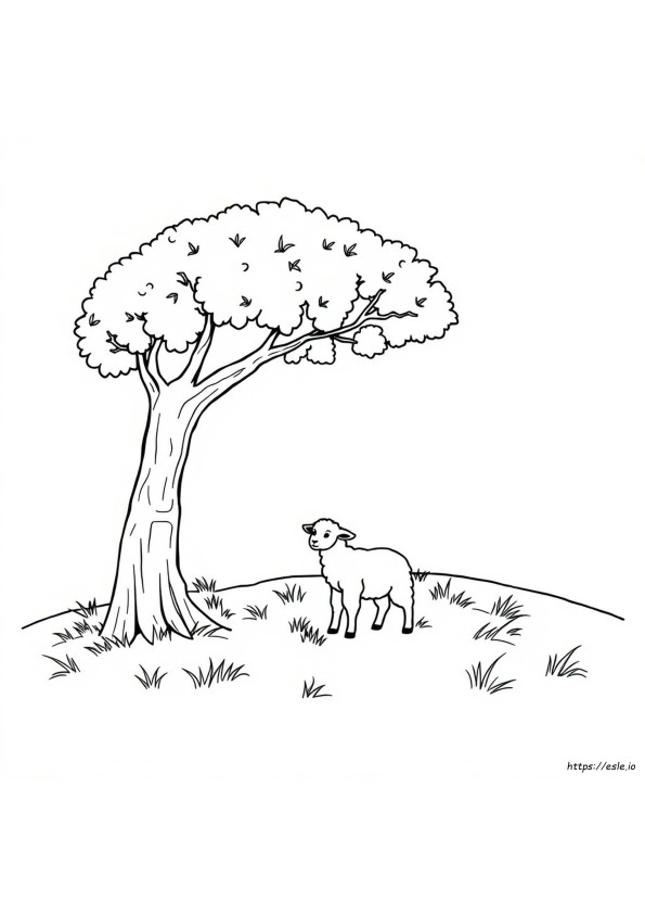 Dltk Bible Coloring Pages
