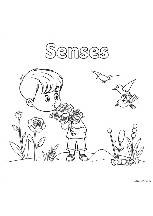 Senses Coloring Pages