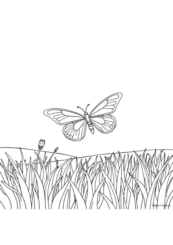 Procreate Coloring Pages Transparent