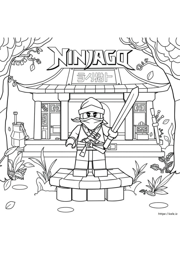 Kolorowanki Lego Ninjago Do Druku Pdf