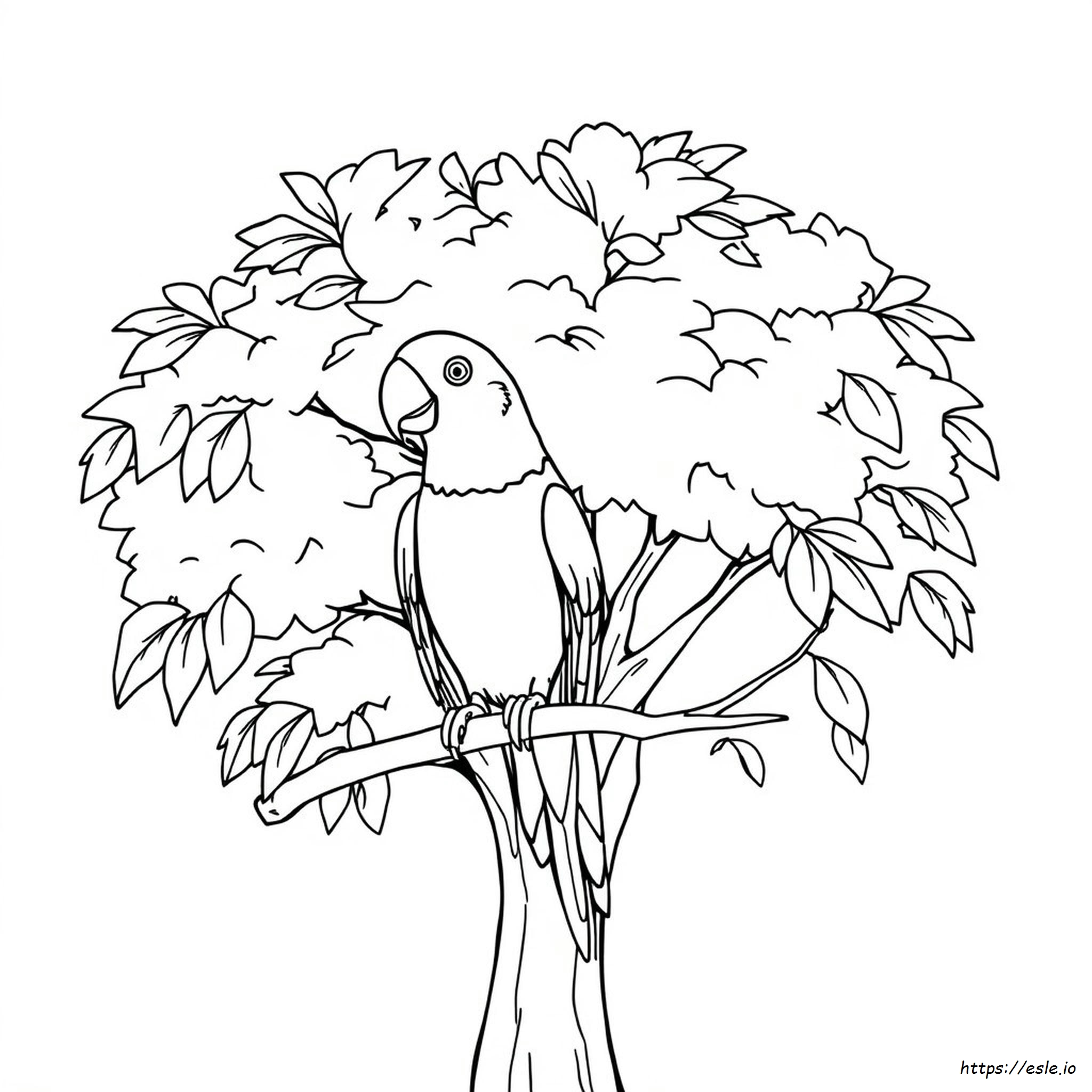 Parrot Coloring Pages Pdf