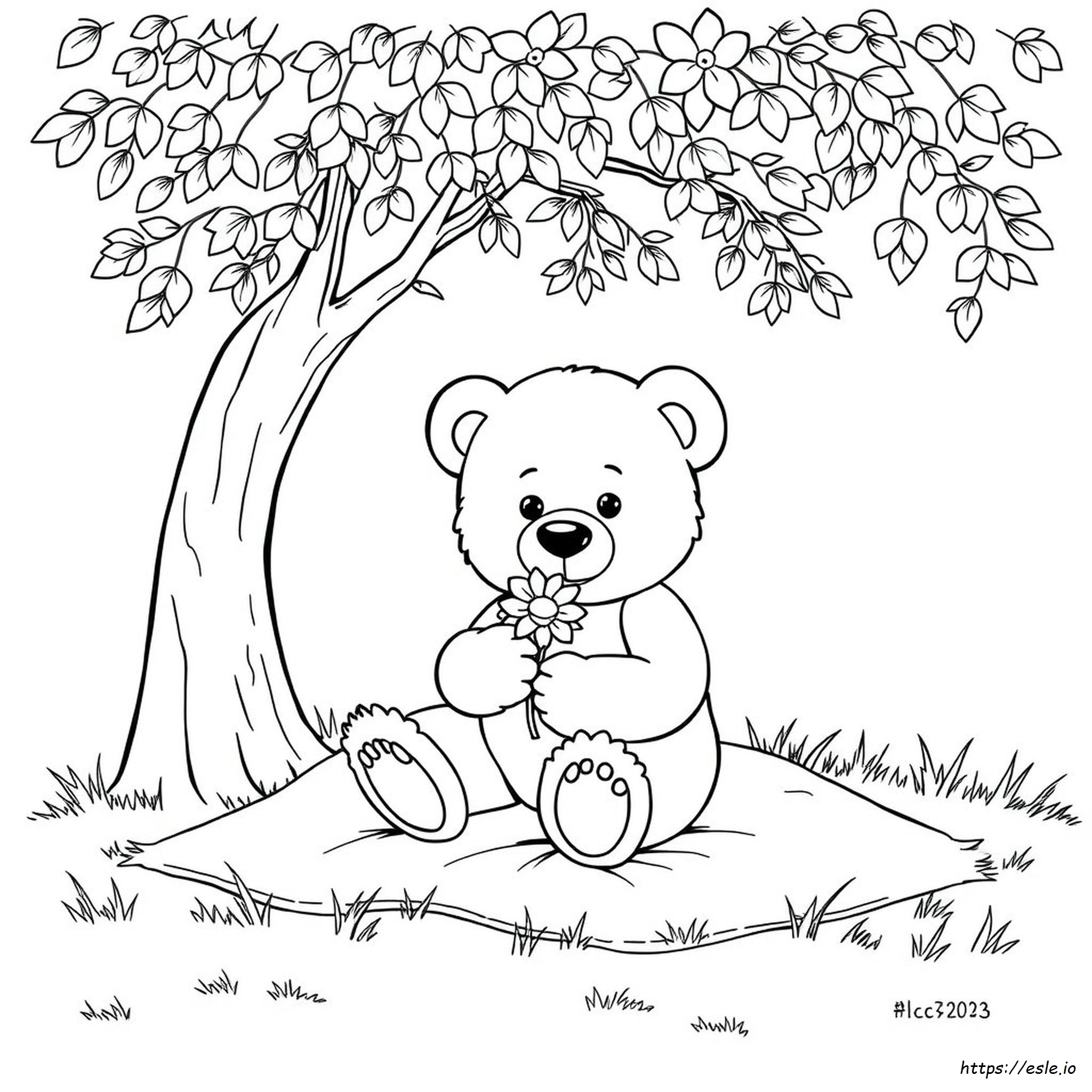 Colouring Pages Of Teddy Bear