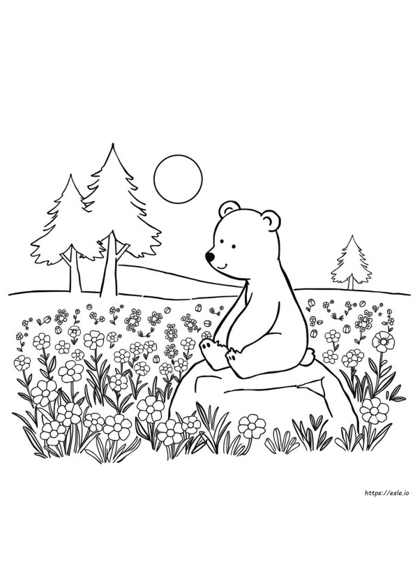 Blush Bear Colouring Pages
