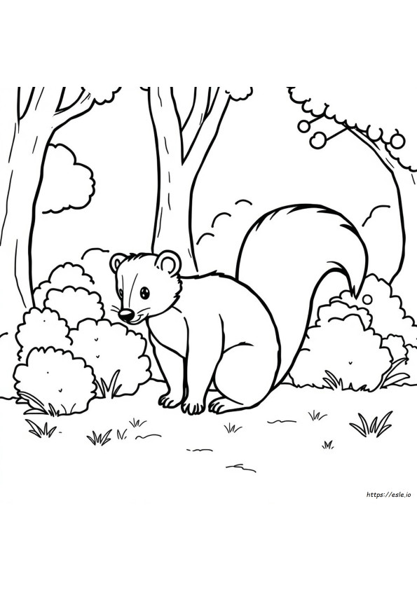 Mofeta Para Colorear