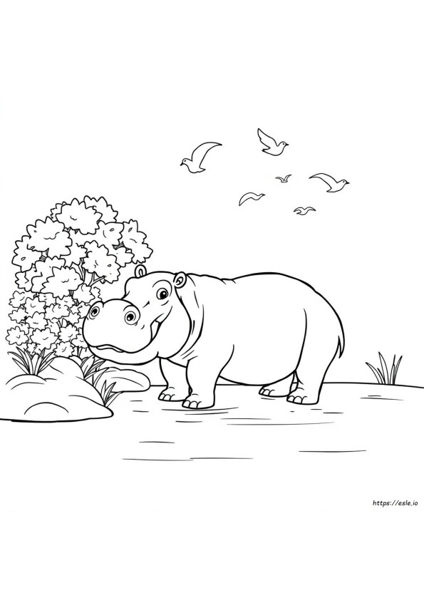 Ippopotamo Da Colorare E Stampare