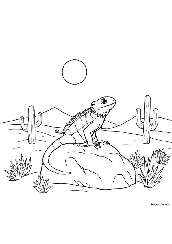 Iguana Colouring Pages