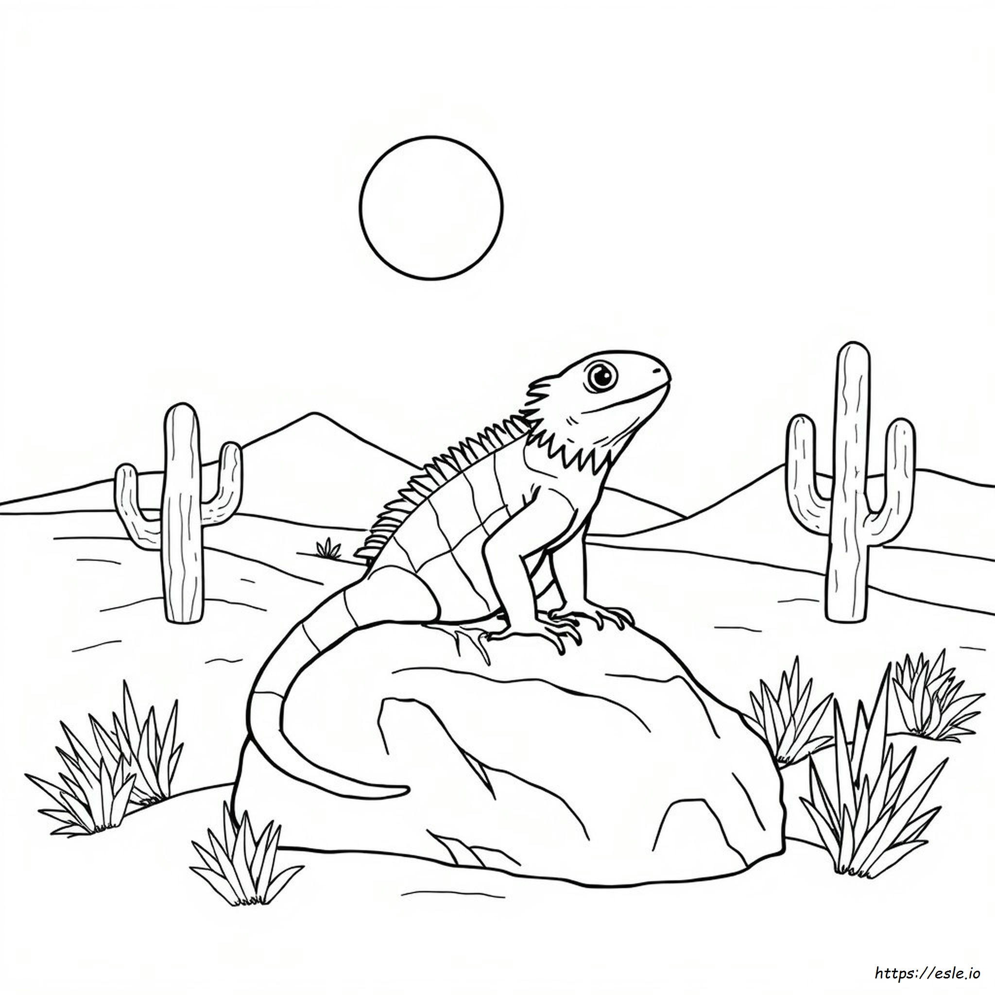 Iguana Colouring Pages