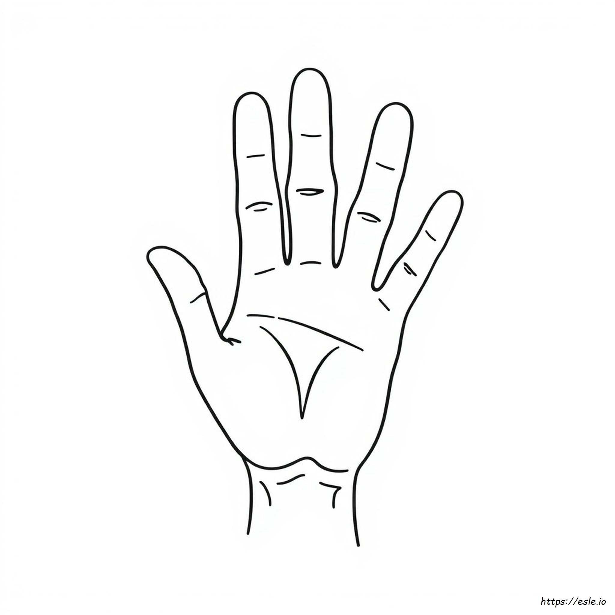 Hand Outline Coloring Page