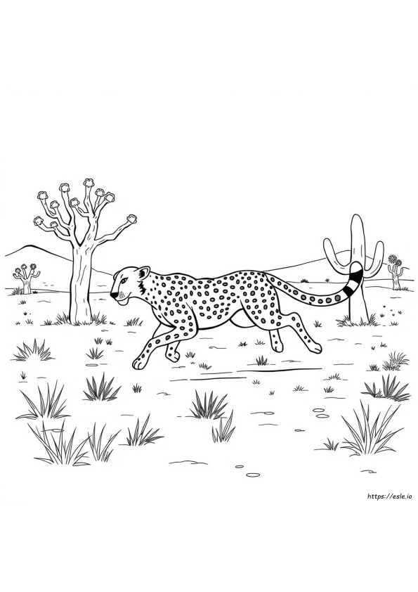 チーター ぬりえ 無料 - 印刷できる塗り絵