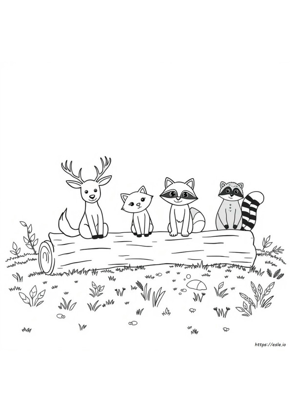 Animali Del Bosco Da Colorare E Stampare