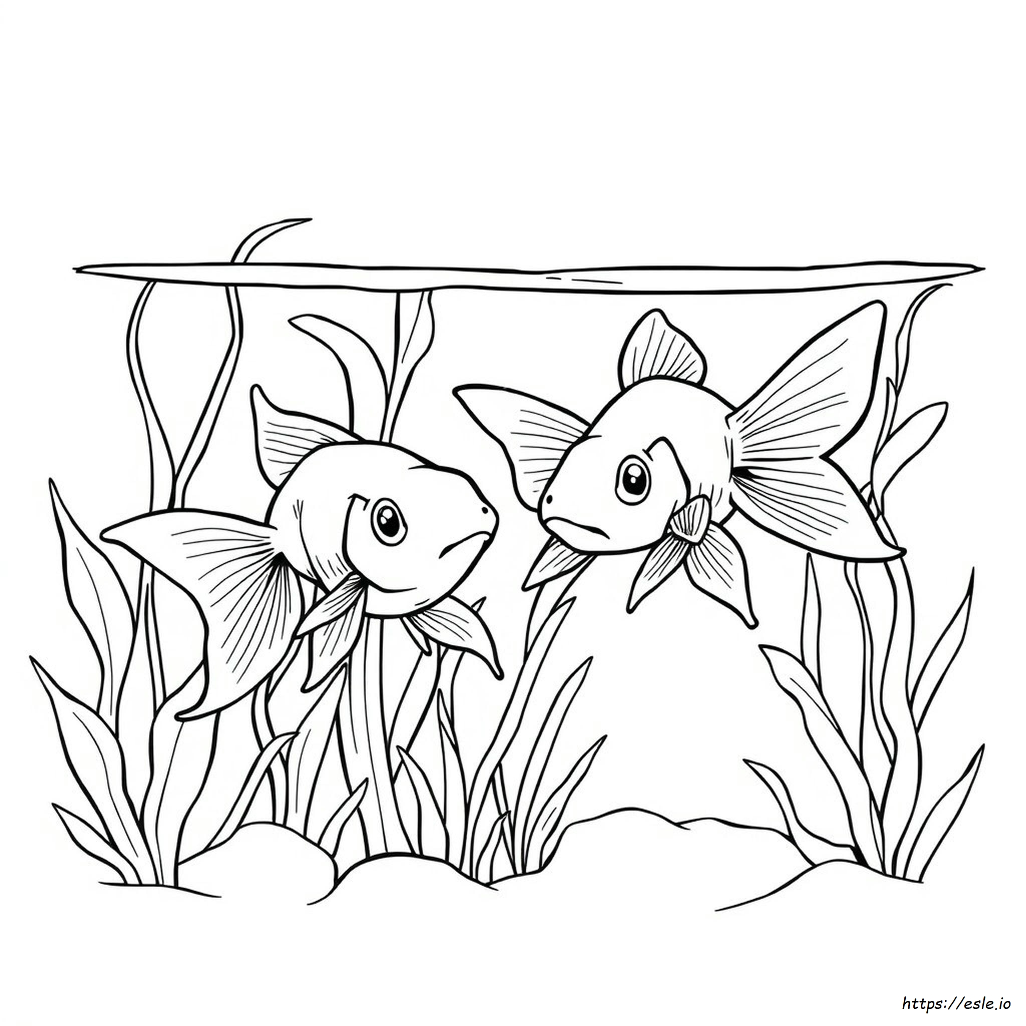 colored-goldfish-ingredients