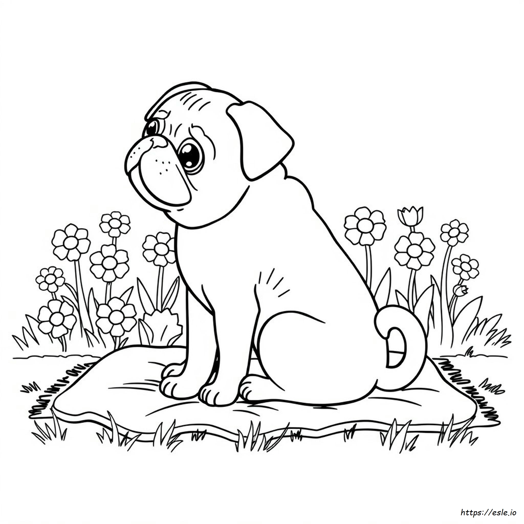 Free Coloring Pages Of Pugs