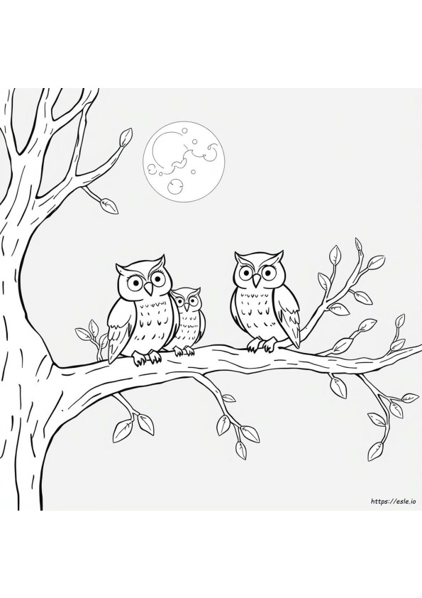 Coloriage Hibou