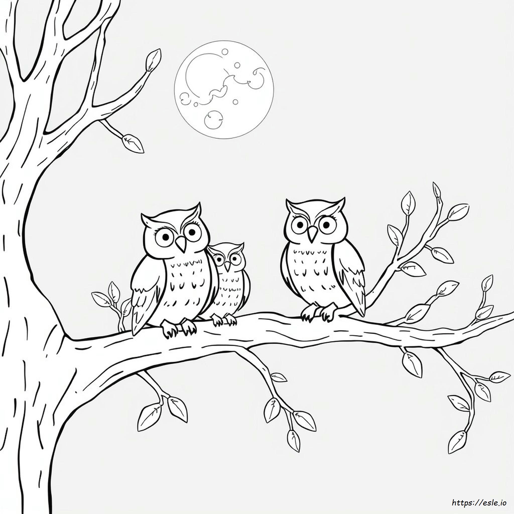 An Owl Coloring Page