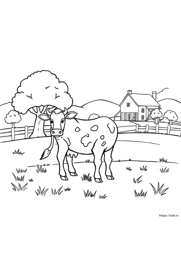 Calf Coloring Page