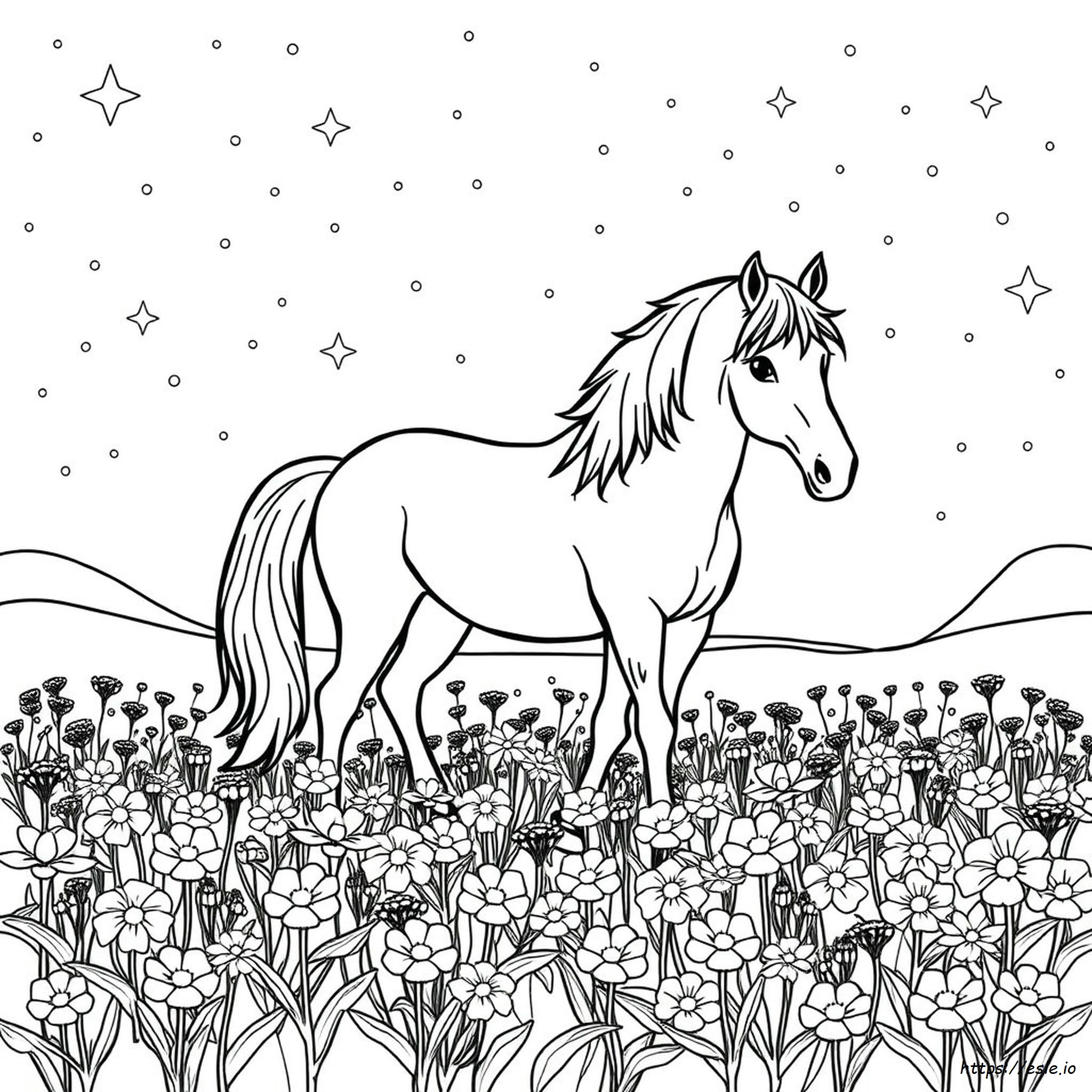 Black Stallion Coloring Pages