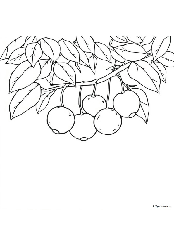 Fruit Of Spirit Coloring Sheet