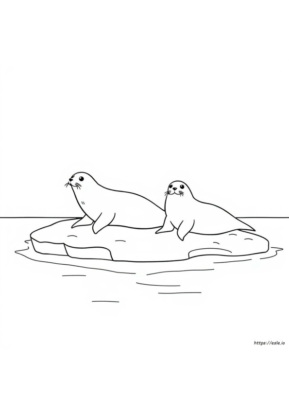 Harp Zeehond Kleurplaat