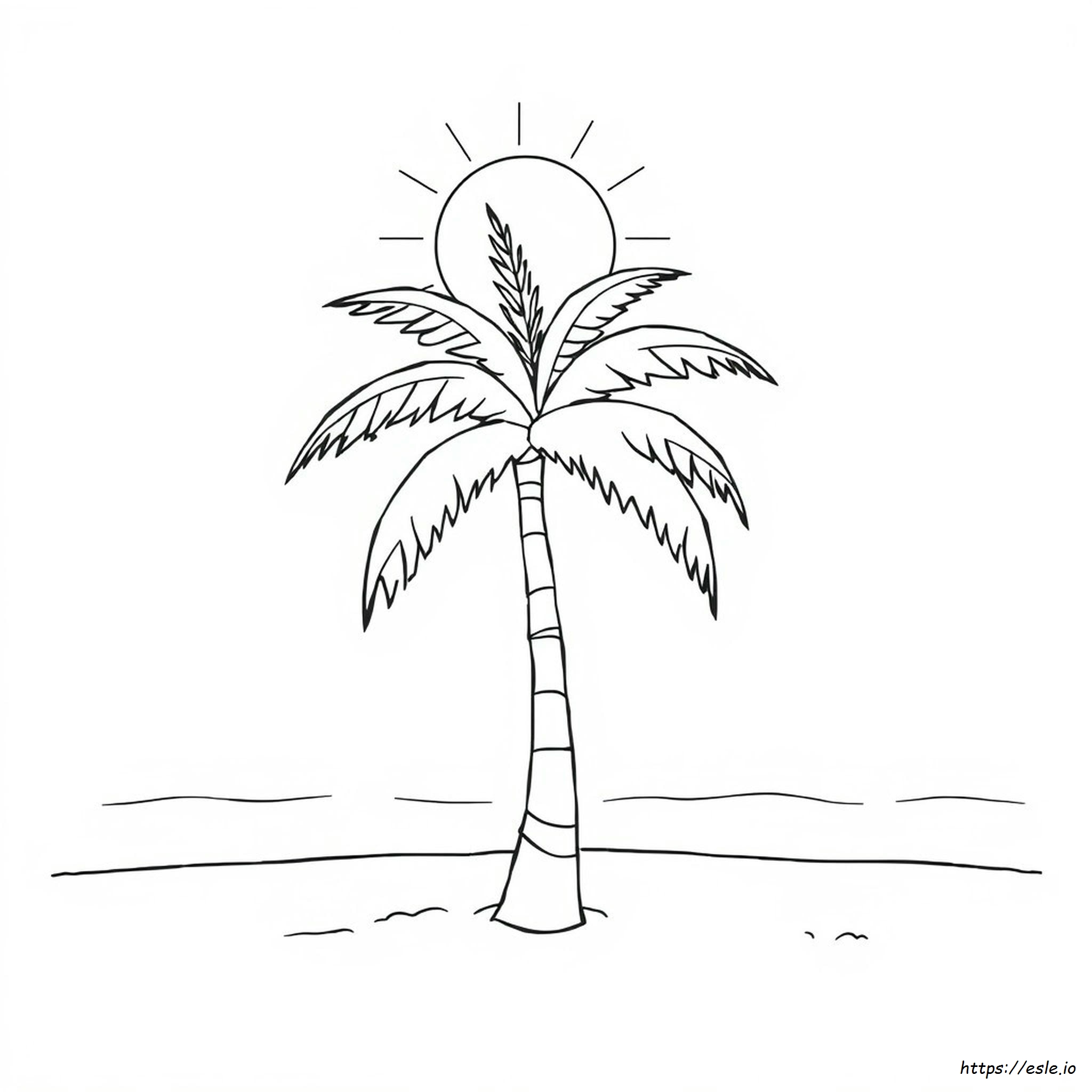 How To Color A Palm Tree