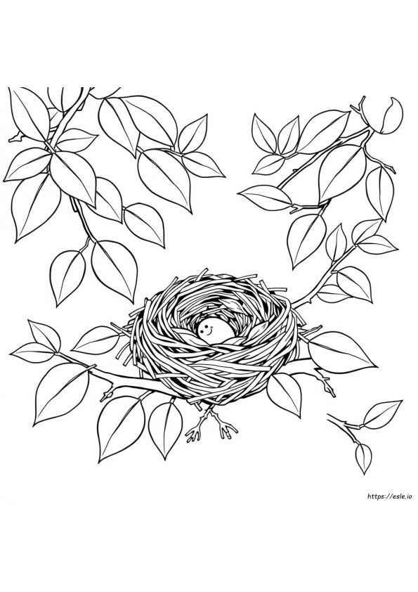 Coloriage Nid Lettre N