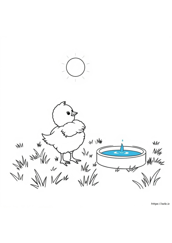 ひよこ ぬりえ