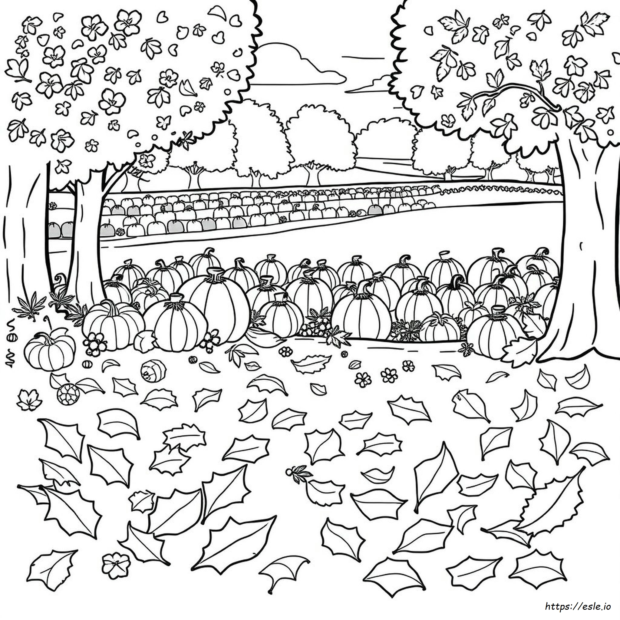 Kids Coloring Pages Fall