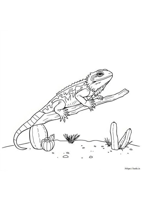 Realistic Bearded Dragon Coloring Pages