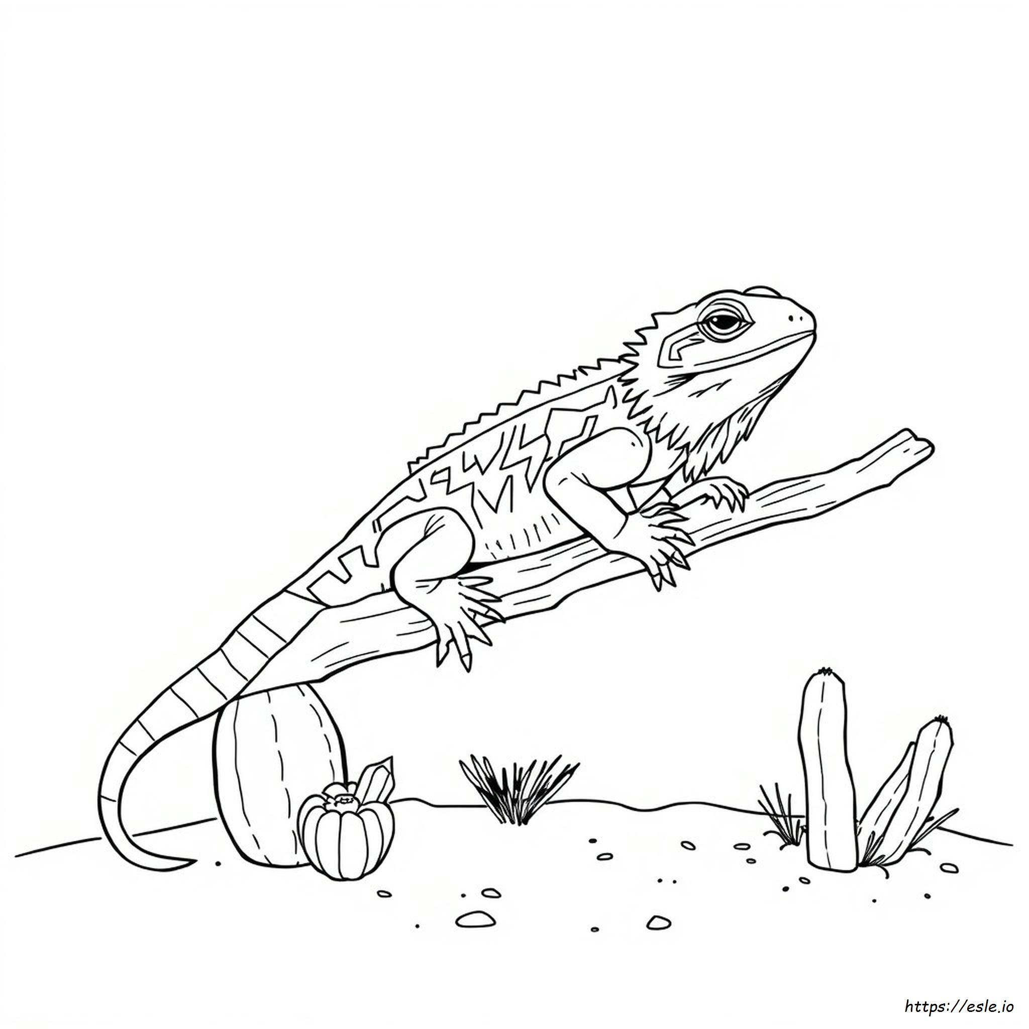 Realistic Bearded Dragon Coloring Pages