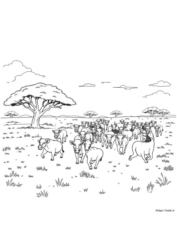 Stampede Colouring Pages