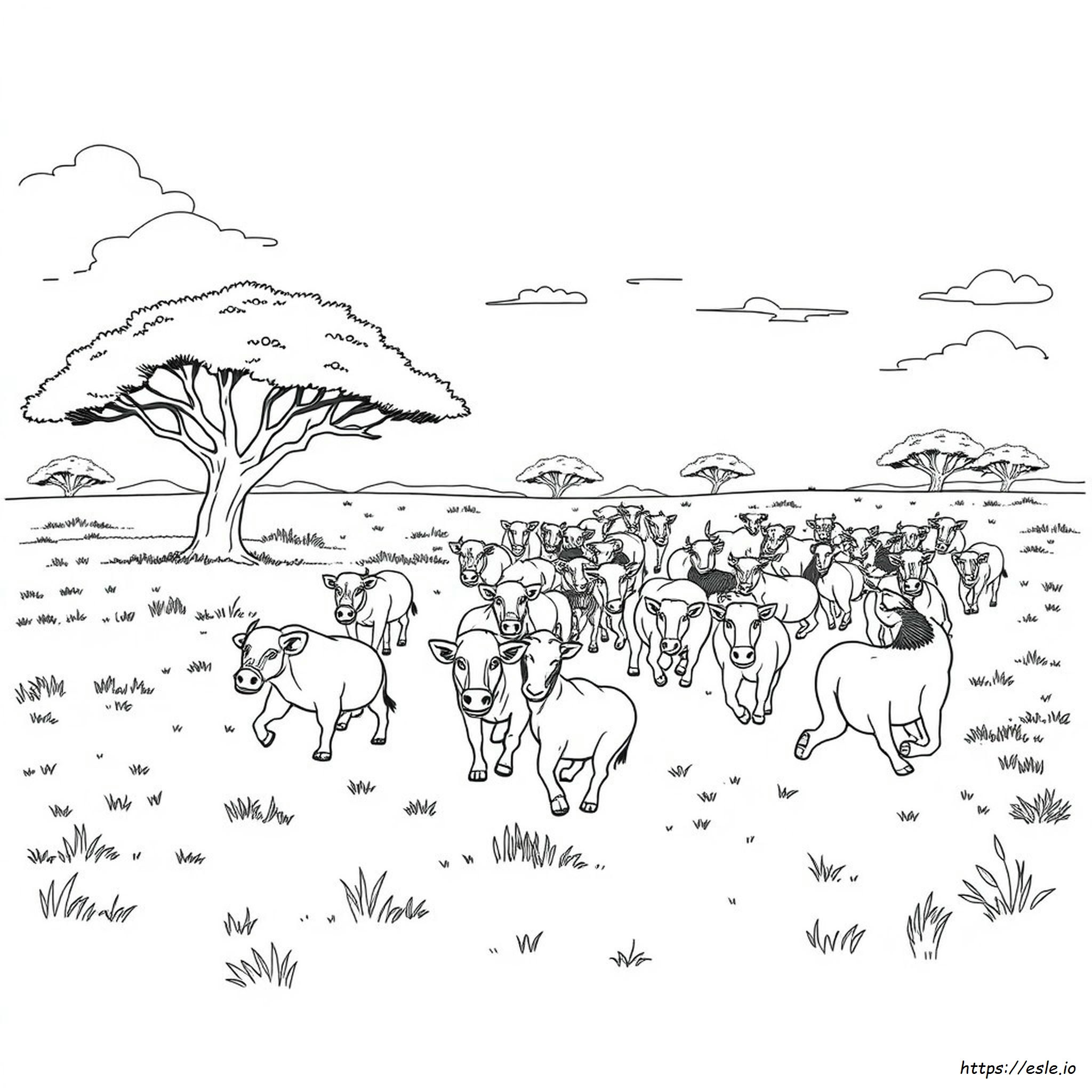 Coloriage Stampede