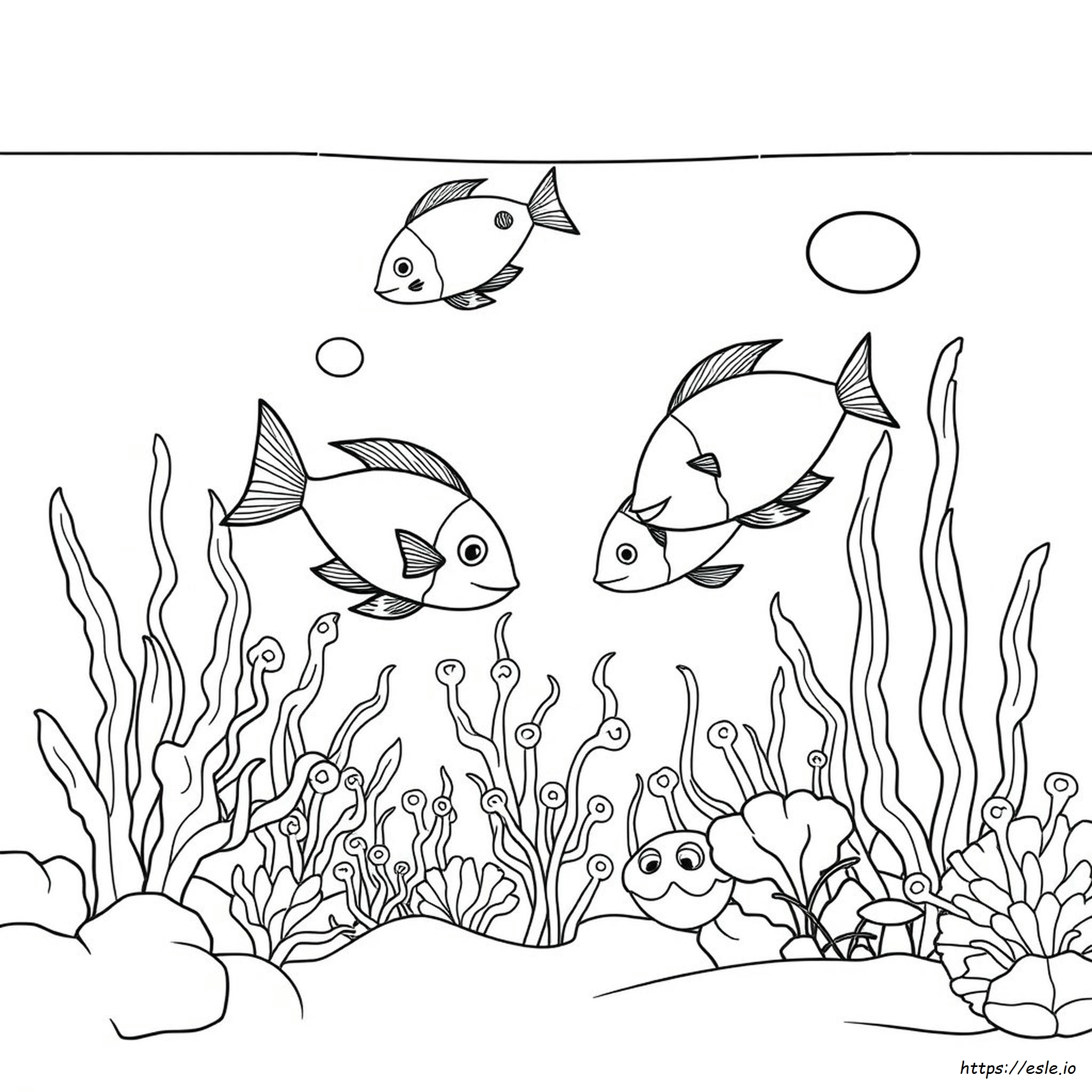 Akuarium Ikan Untuk Diwarnai