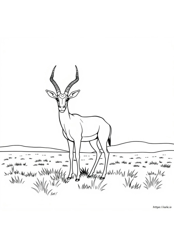 Coloriage Antilope