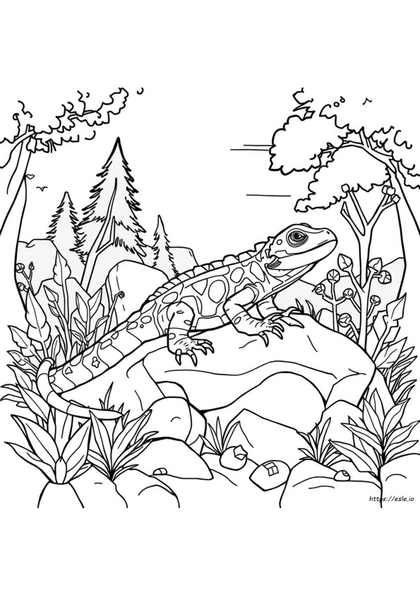 How Do Reptiles Change Color