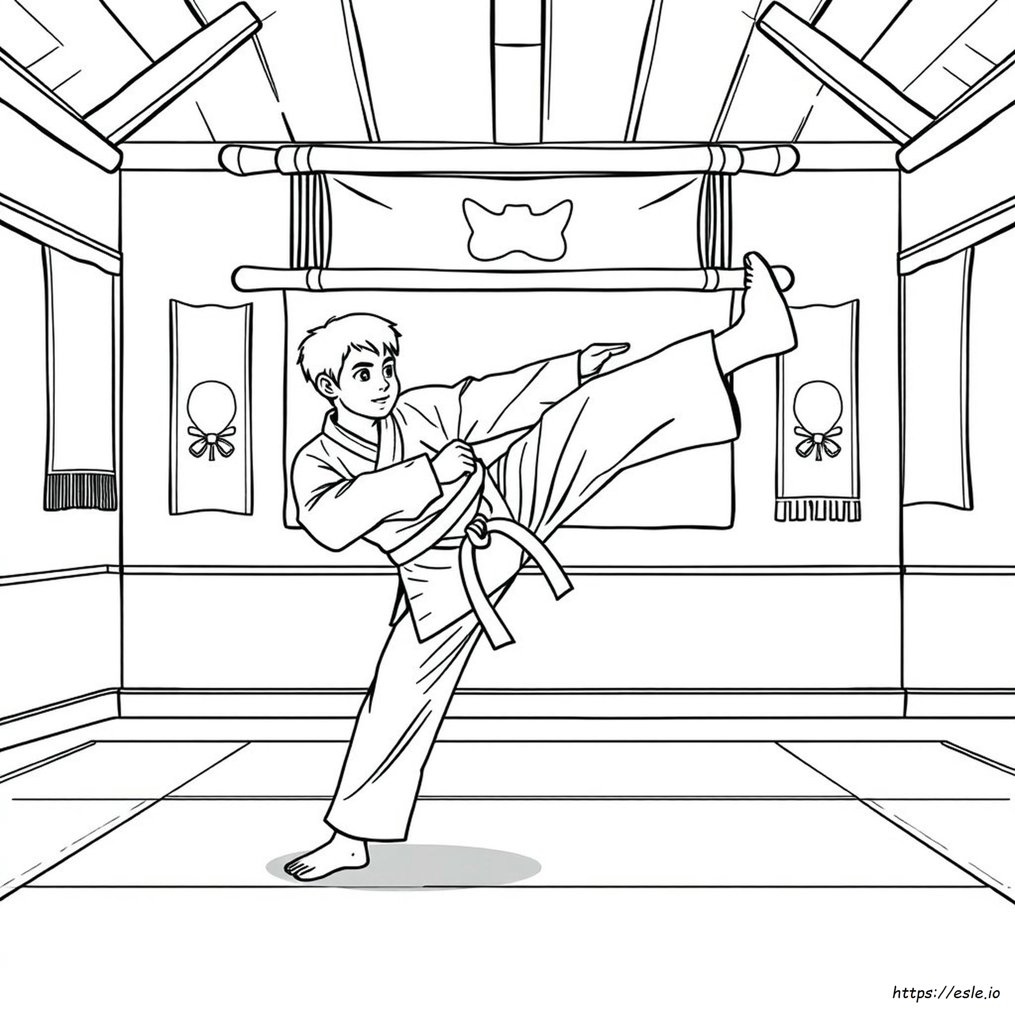 Karate Coloring Pictures