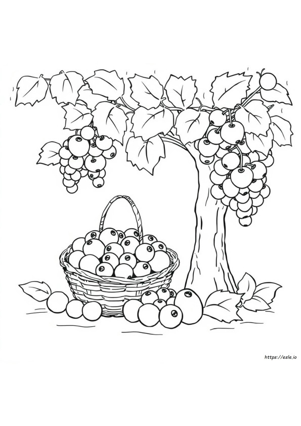 Mele Piccole Da Colorare