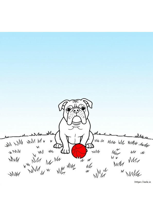 English Bulldog Coloring Pages