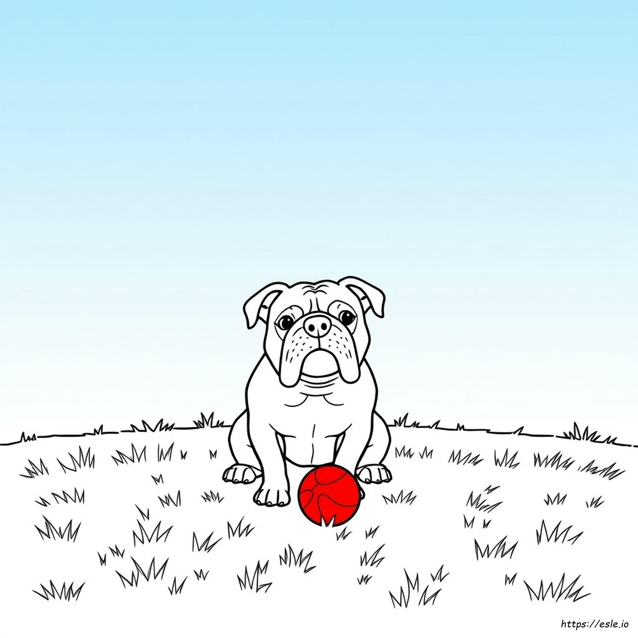 Dibujos De Bulldog Inglés Para Colorear