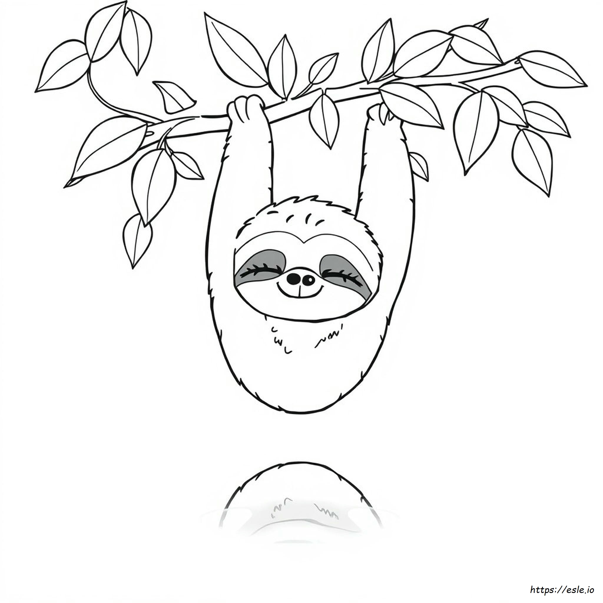 Disegni Di Bradipi Carini Da Colorare