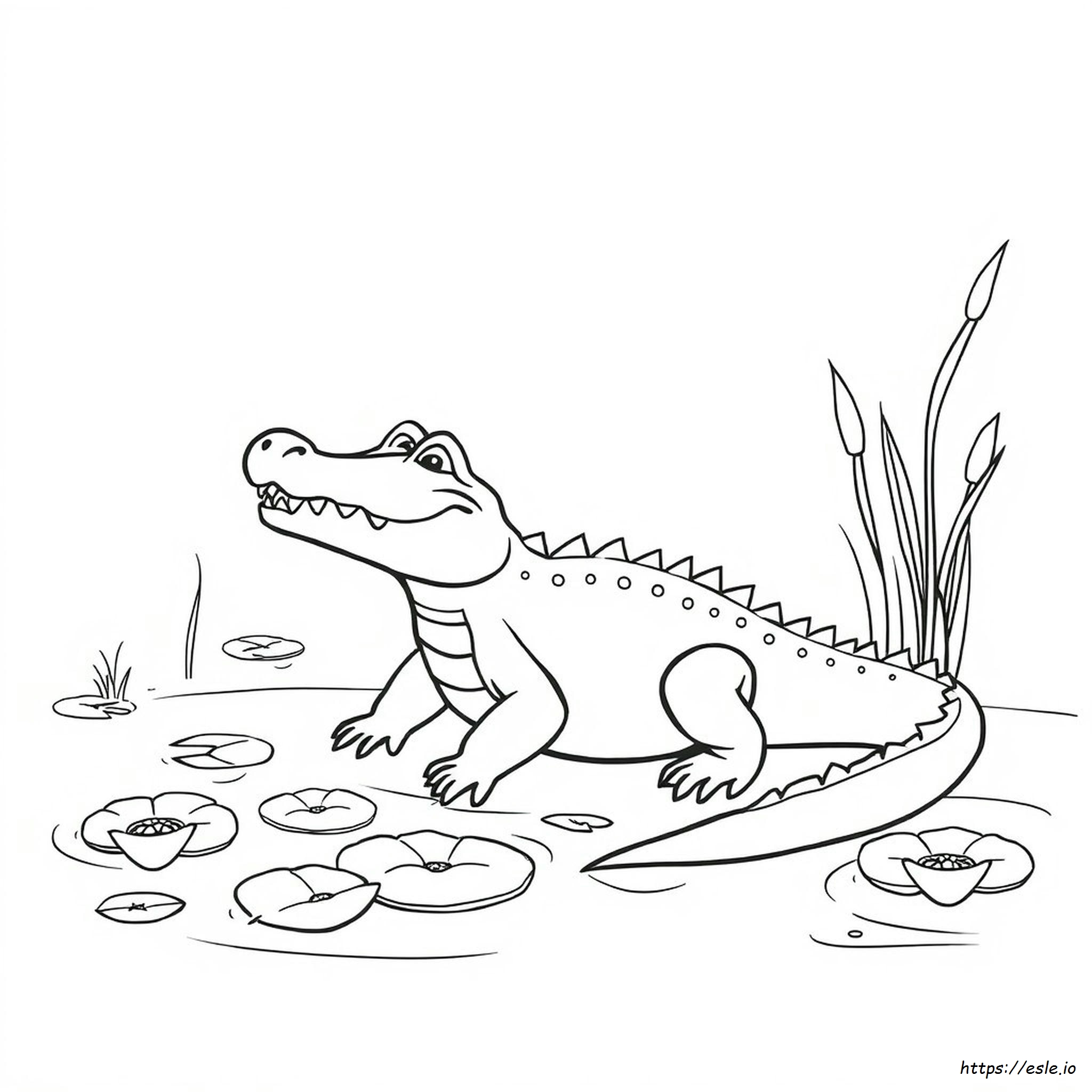 Alligator Printable Coloring Pages