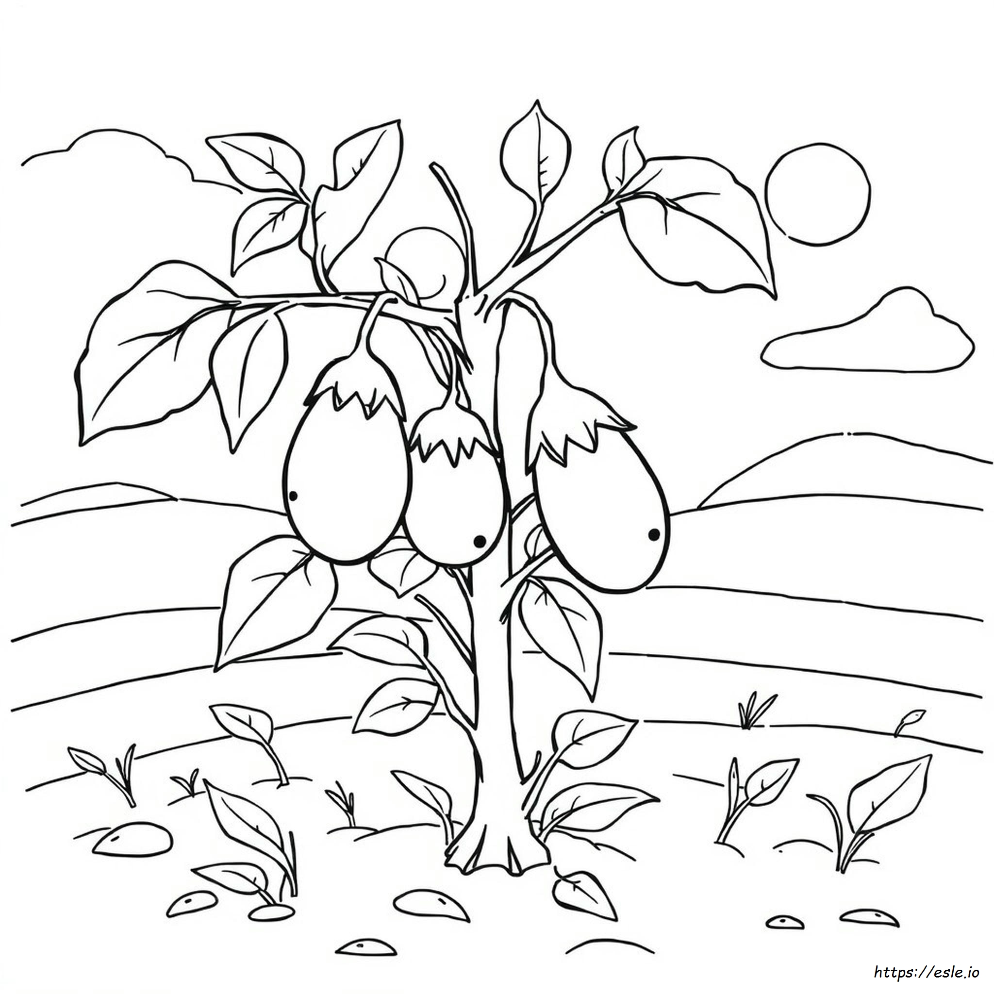 Eggplant Colouring Pages