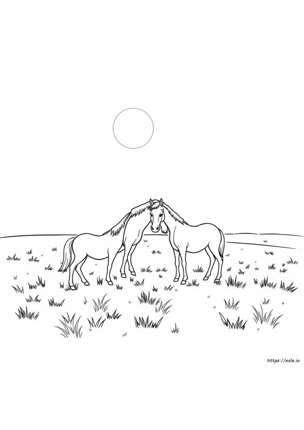 Cavalos Para Colorir