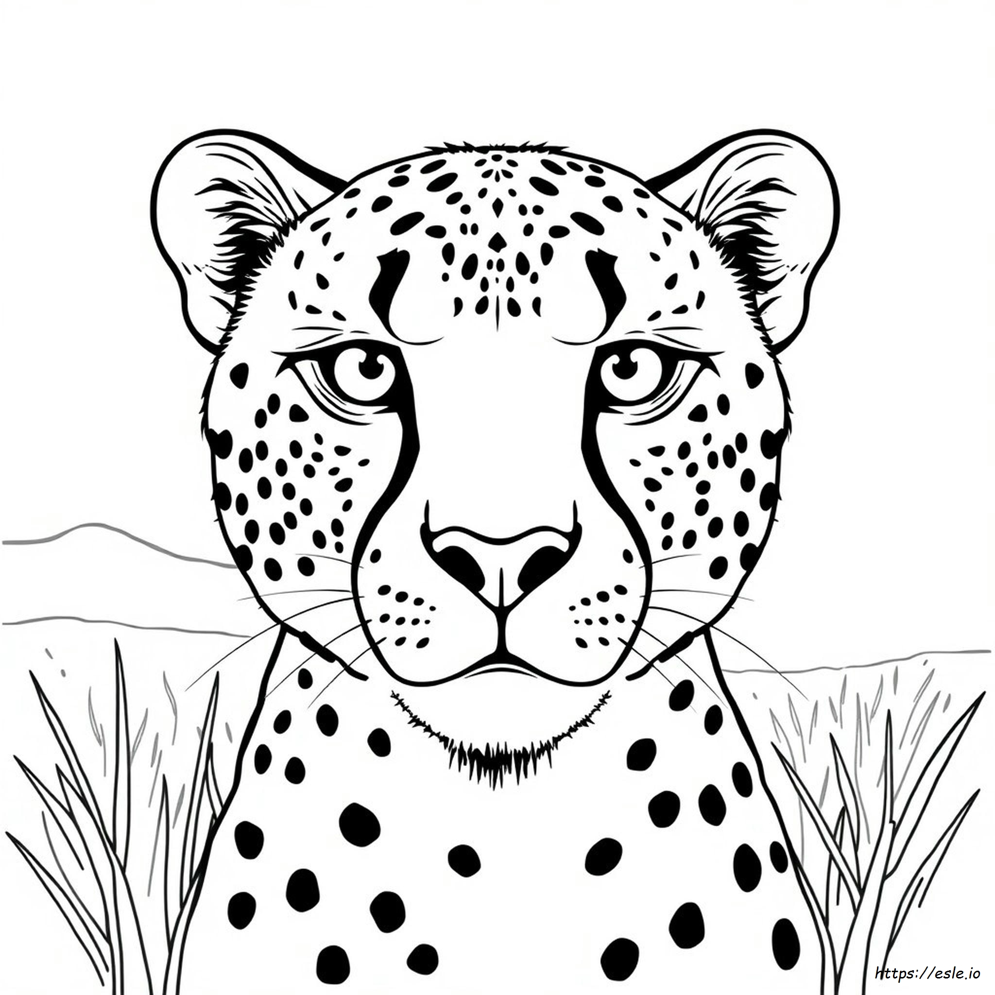 Cheetah Face Coloring Page