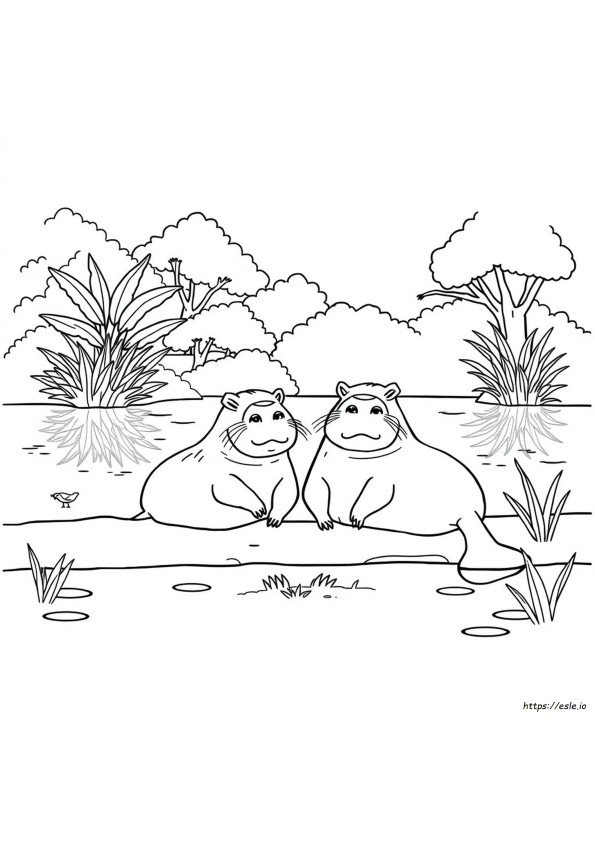 Capibara Coloring