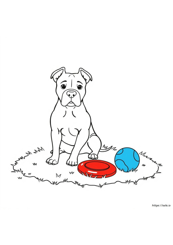 Coloriage Pitbull