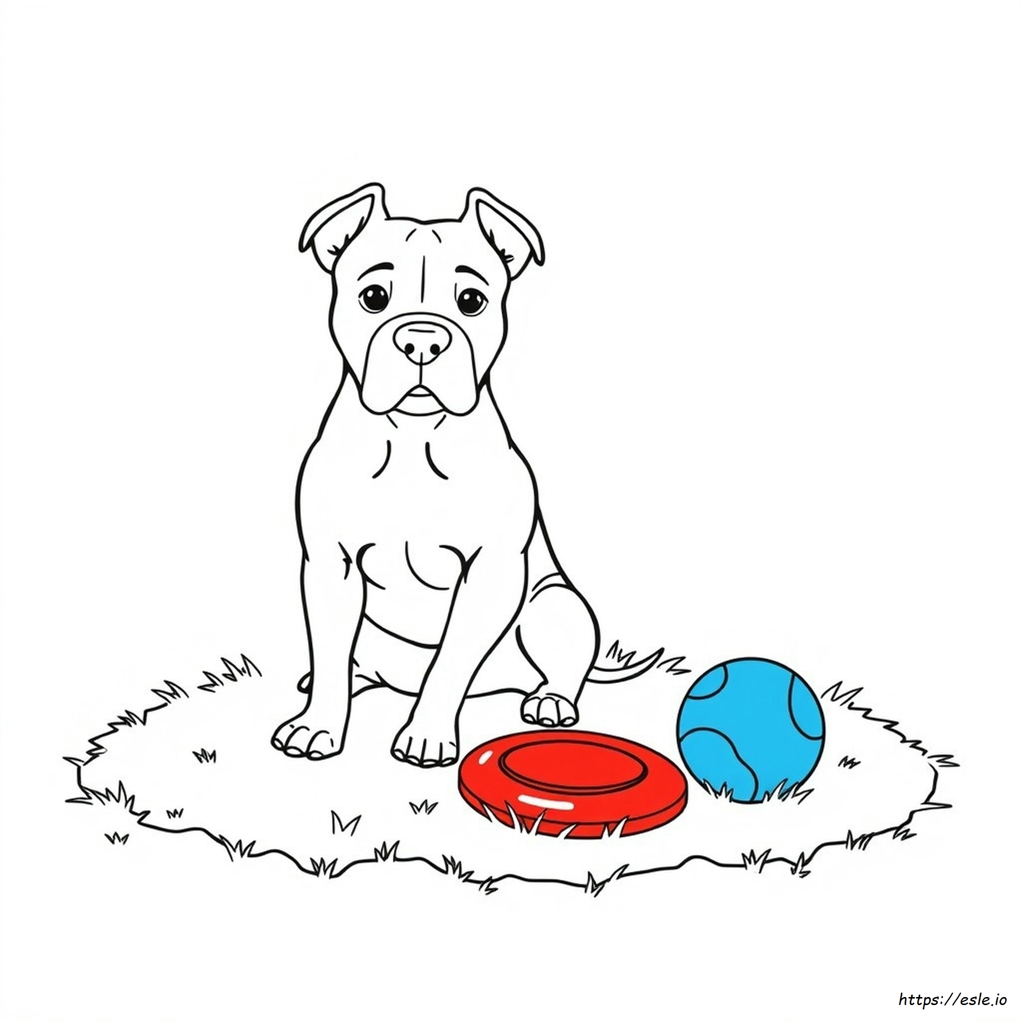 Pit Bull Coloring Page