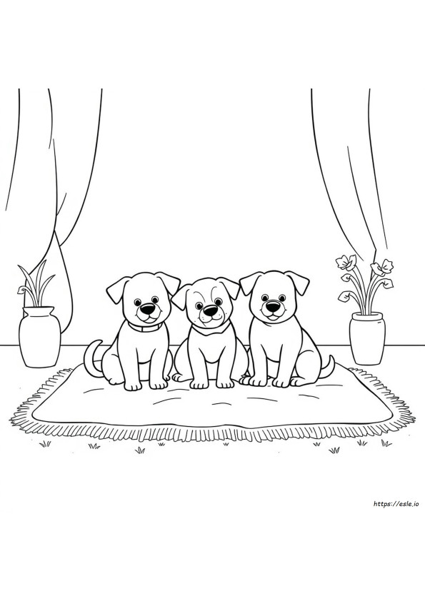 Colouring Pages Pets